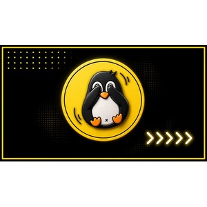 Linux Bash Shell Scripting Incl. AWK SED and 10+ Projects
