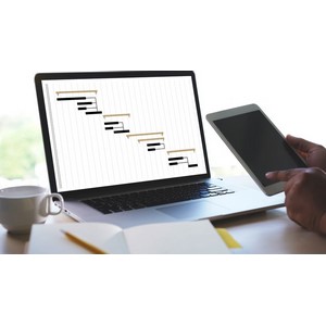Project Management and Design of Databases
