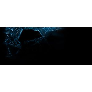 Secure Coding in C and C++